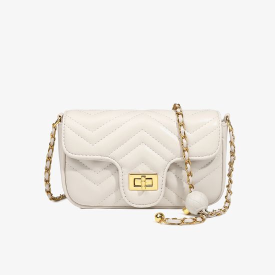 Picture of 链条女包