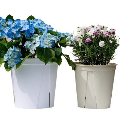 Picture of 网花盆